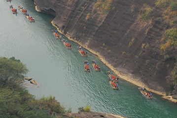 观察动植物细胞的结构的材料用具