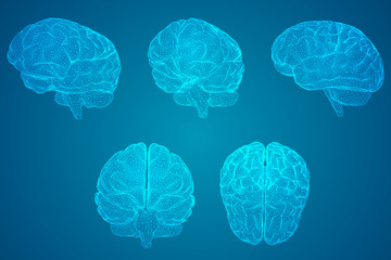 幼儿园体育运动会的活动方案