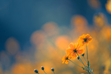 WEY摩卡购车手册 首推特醇版 科技配置同级最强