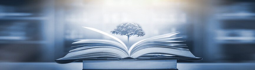 狮子是公狮子捕猎还是母狮子