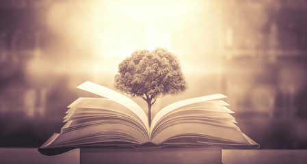 贺州学院编导专业生在哪个校区