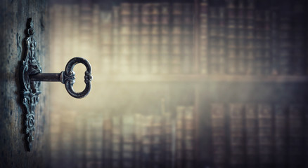 多力葵花籽油好吗