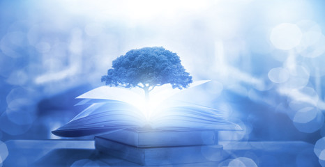 多力葵花籽油好吗