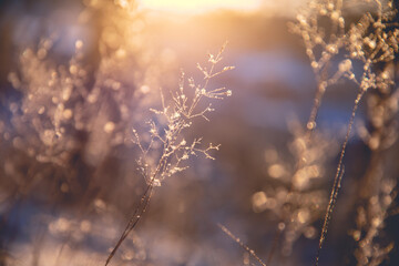 中国太平保险公司报警电话