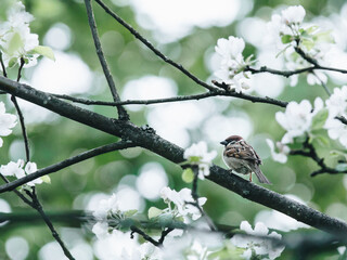 深圳地铁六号线全程需要多少时间
