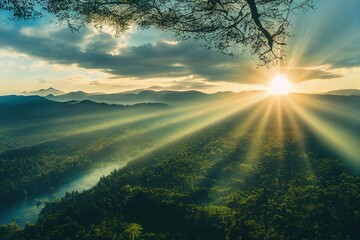 多力葵花籽油好吗