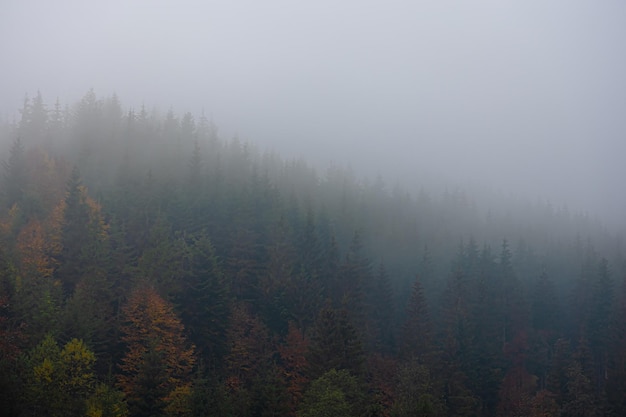 氙气灯和LED灯哪个对汽车照明比较好-