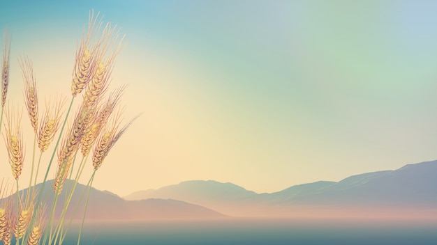 世界上煤炭资源最丰富的国家-