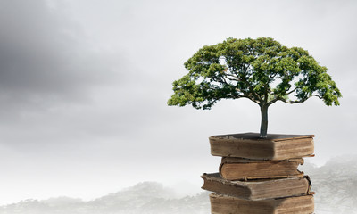 煤层气地质特征及成藏条件