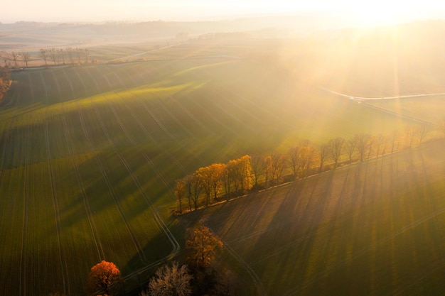 怎么开启面容支付