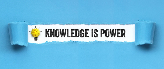 麦田里的守望者书评4篇